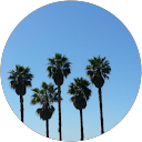 Francisco Aguilera profile picture